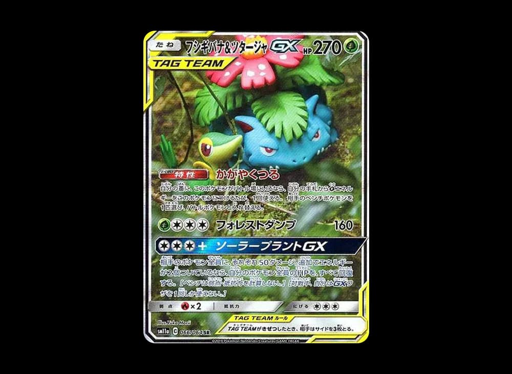 フシギバナ&ツタージャGX SR: SA[SM11a 066/064](強化拡張パック「リミックスバウト」)