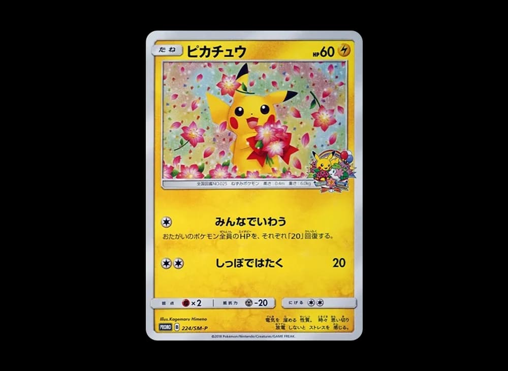 ピカチュウ: プロモ[SM-P 224](プロモーションカード「SM-P」)
